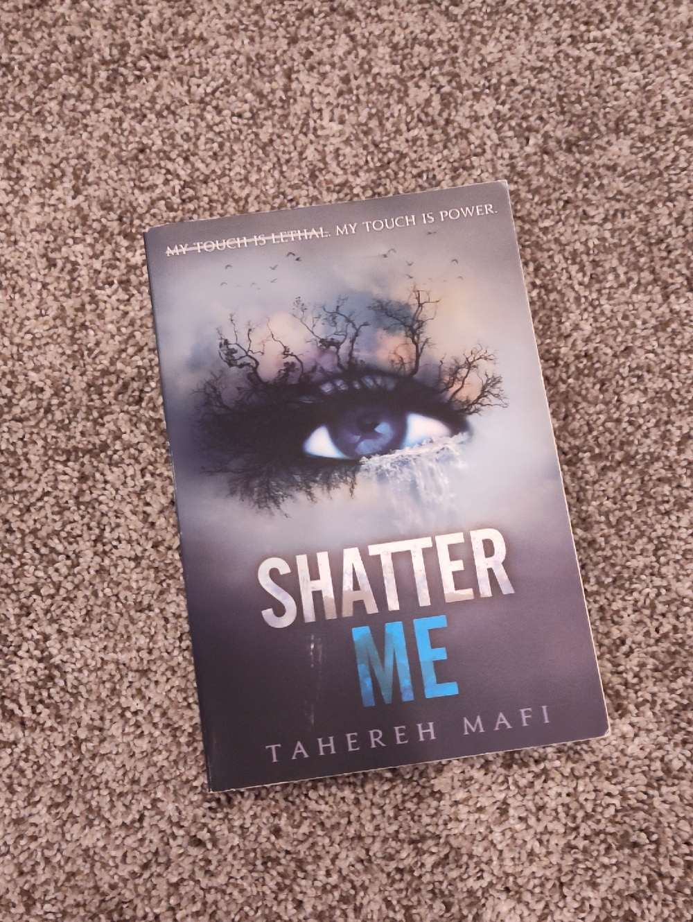 Must Bundle : Shatter Me by Tahereh Mafi - Blue & Gray Paperback